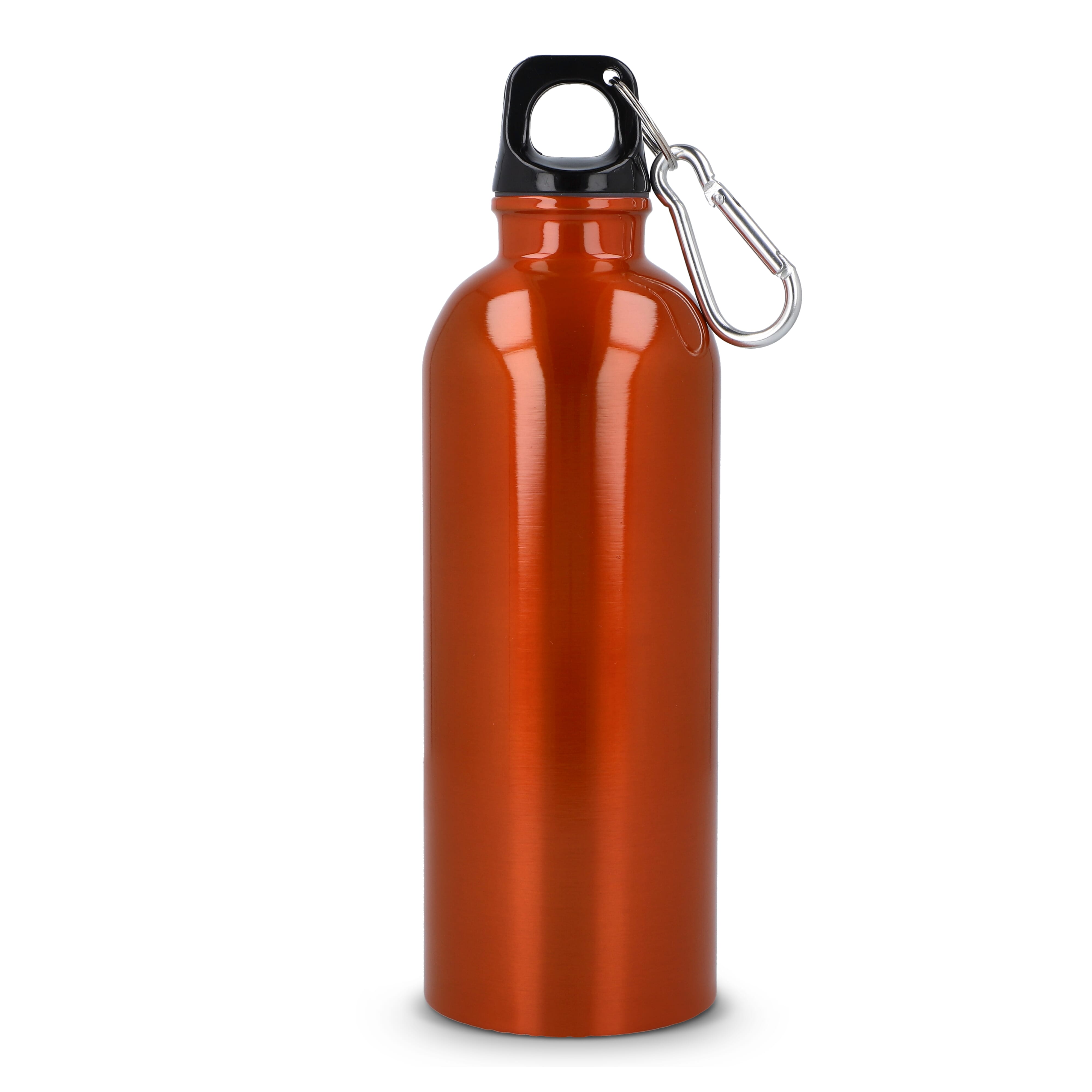 R-Edelstahl einwandige Flasche mit Karabiner 500 ml