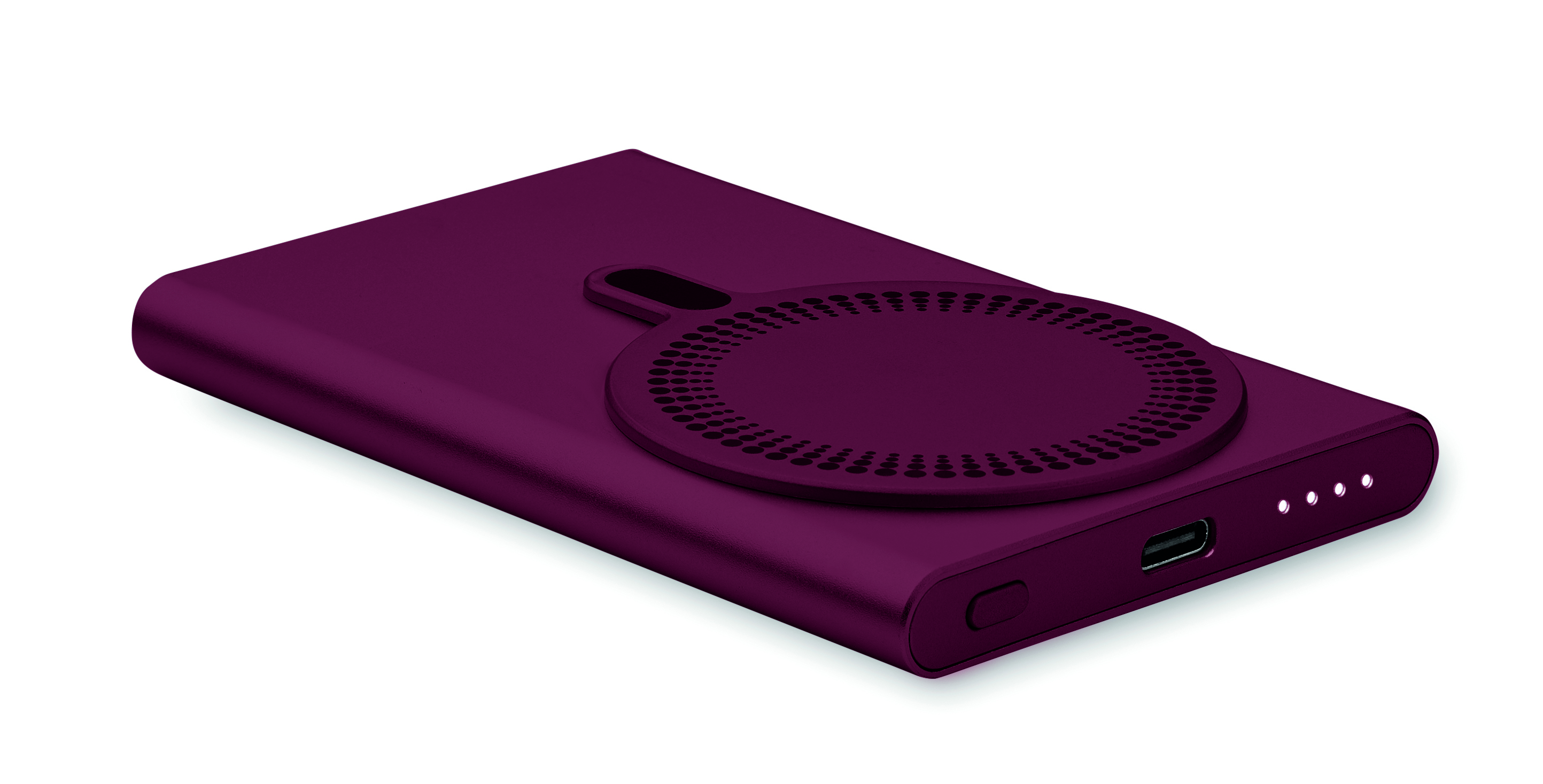 Wireless charger power bank PAWTT