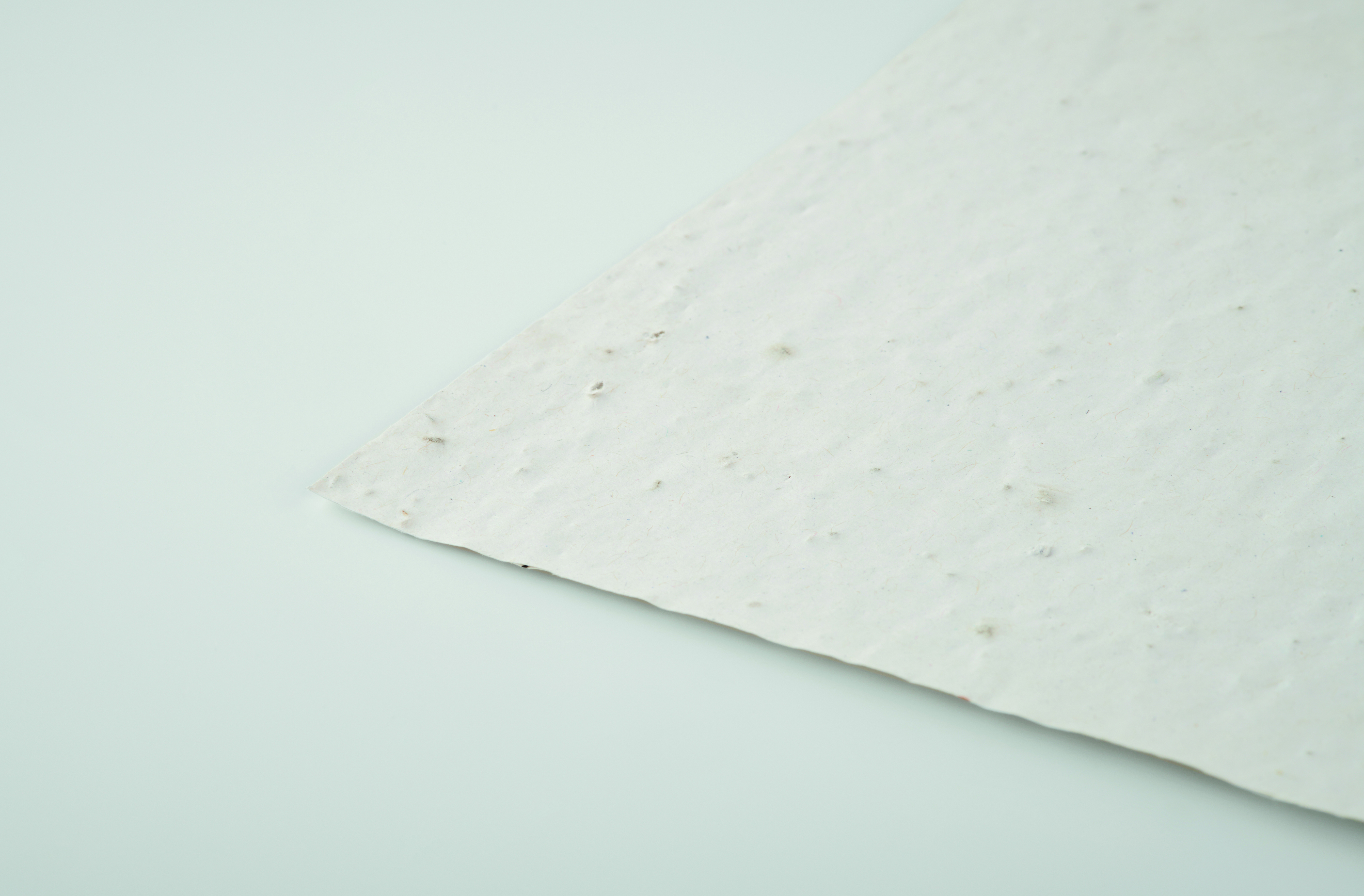 DIN A5 Wildblumen-Samenpapier ASIDE