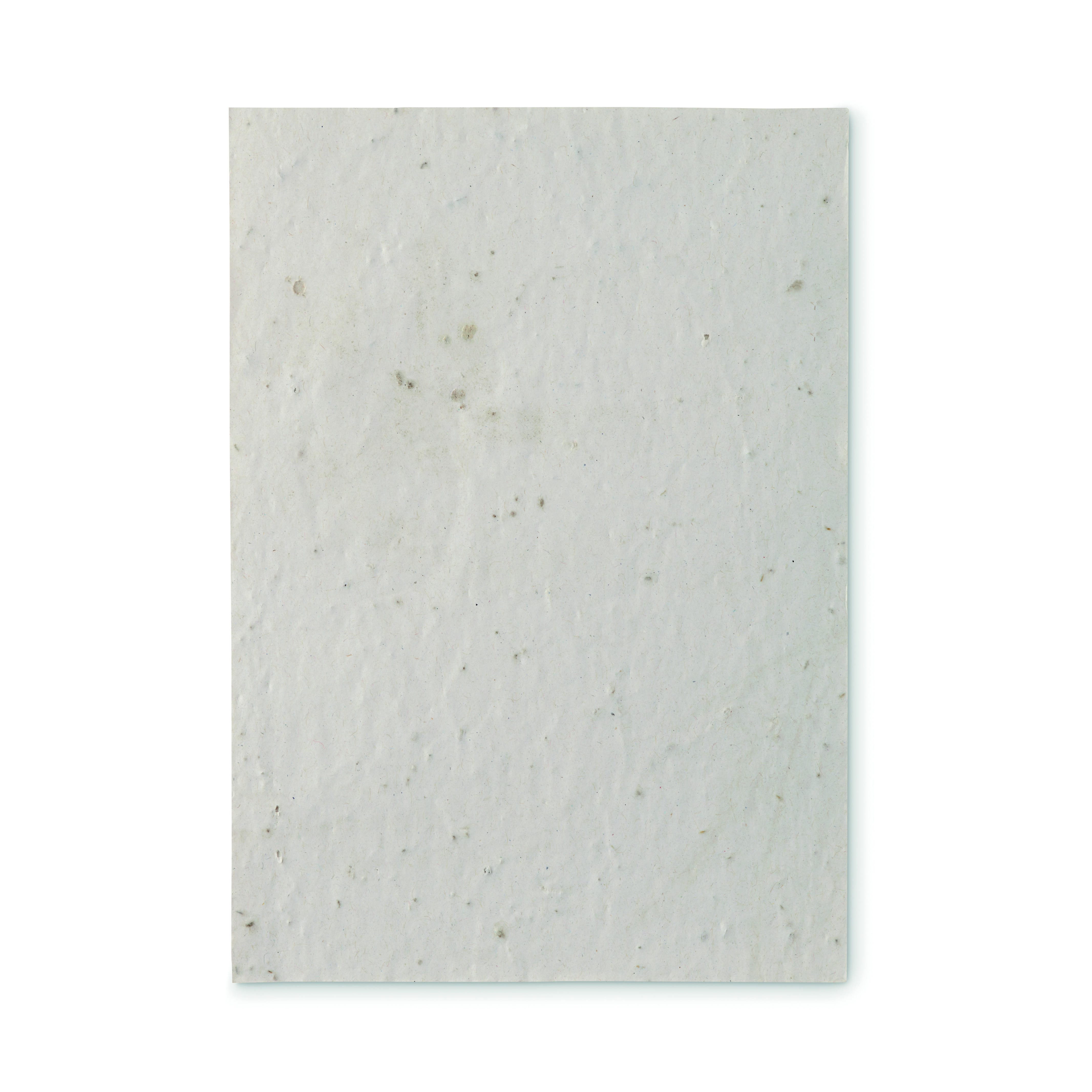 DIN A5 Wildblumen-Samenpapier ASIDE