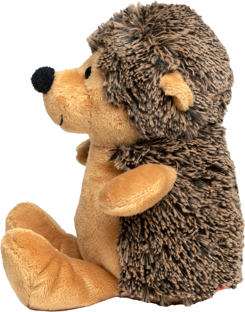 Igel Carsten
