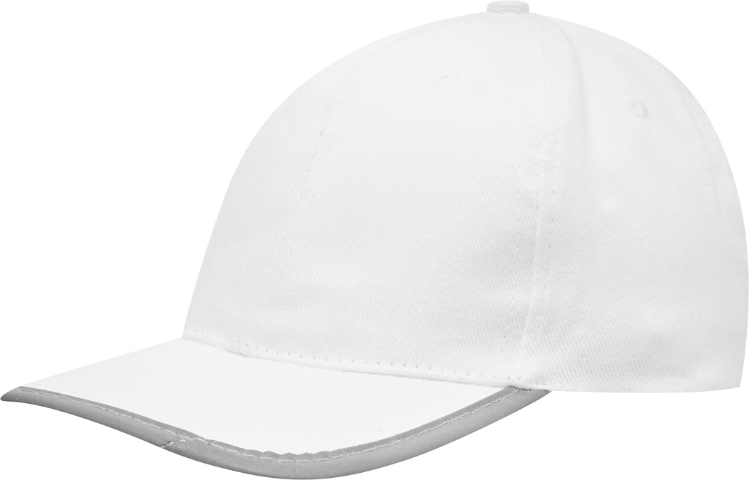 6-panel-Cap DETECTION