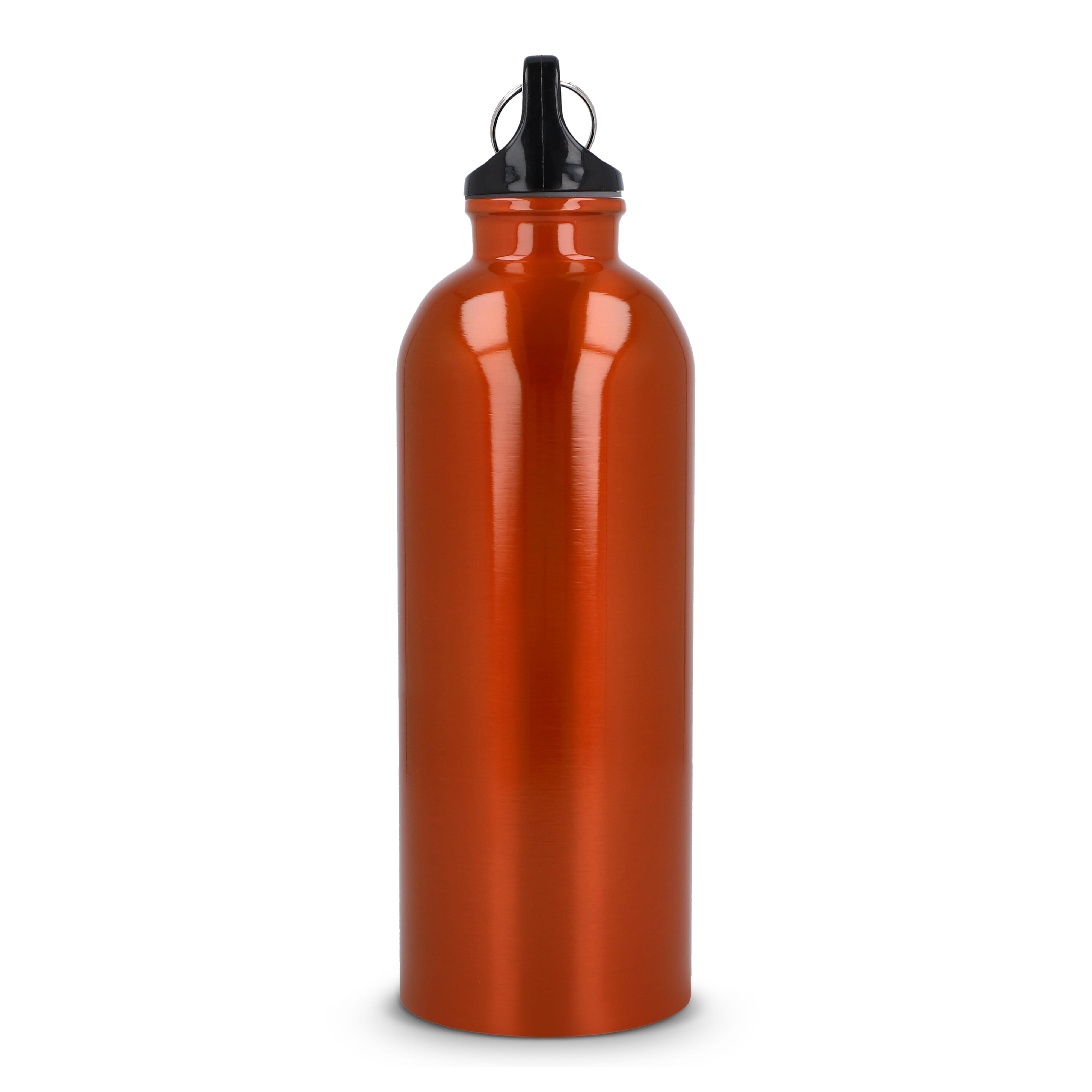 R-Edelstahl einwandige Flasche mit Karabiner 500 ml