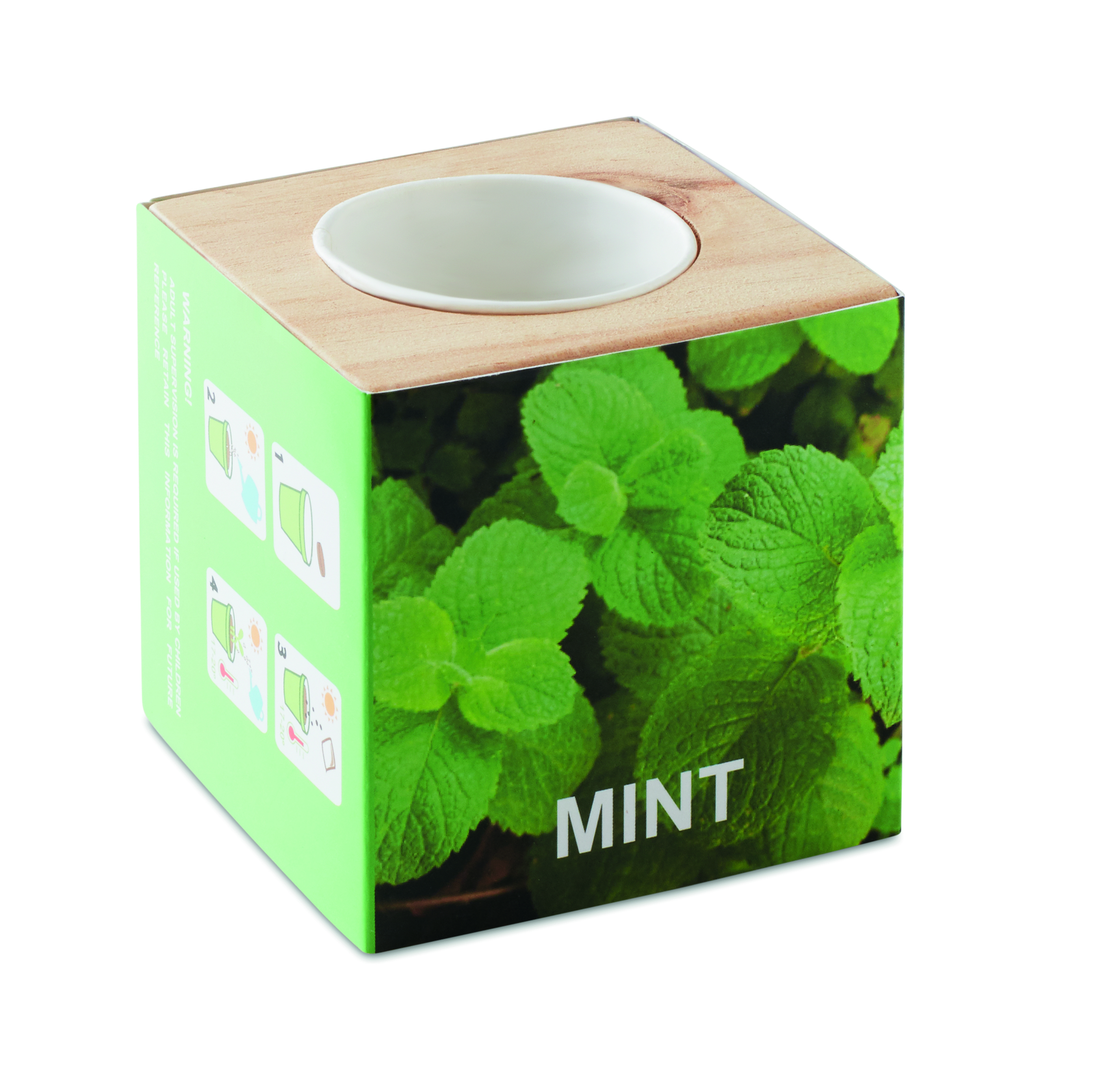 Kräuterpflanz-Set "Minze'' MENTA