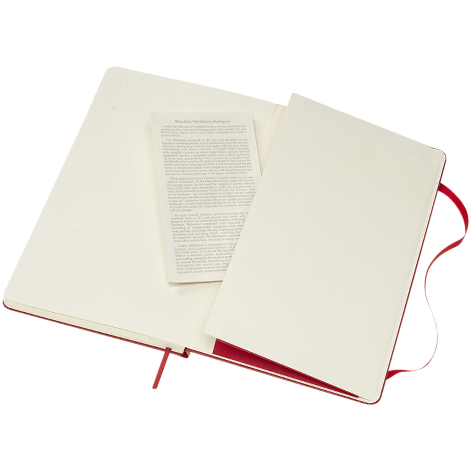 Moleskine Classic Hardcover Notizbuch L – liniert