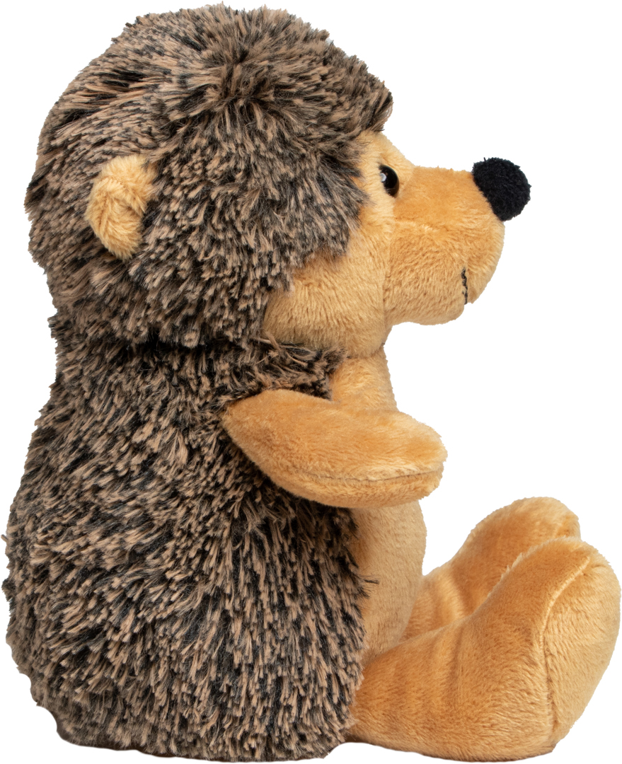 Igel Carsten