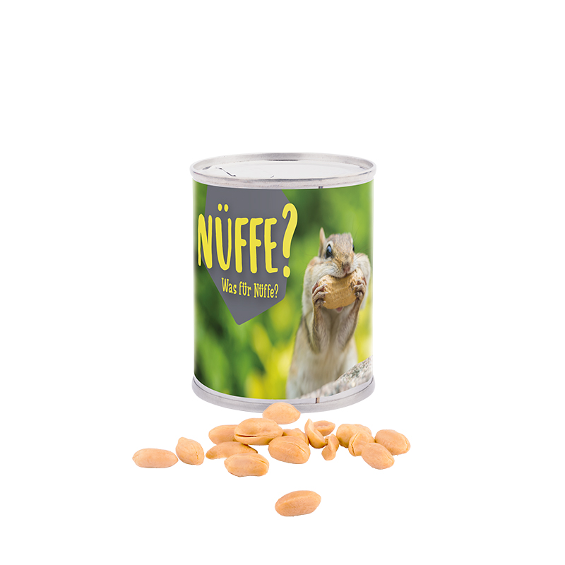 Snack Dose, Erdnüsse geröstet und gesalzen Snack Dose, Erdnüsse geröstet und gesalzen
