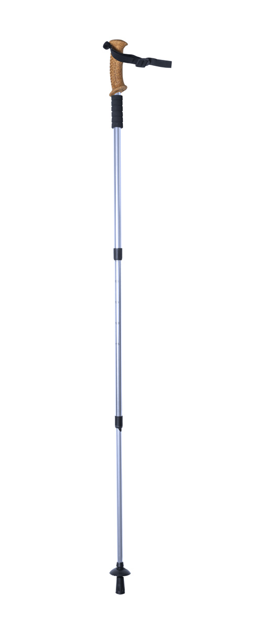 Nordic-Walking-Stock Sells