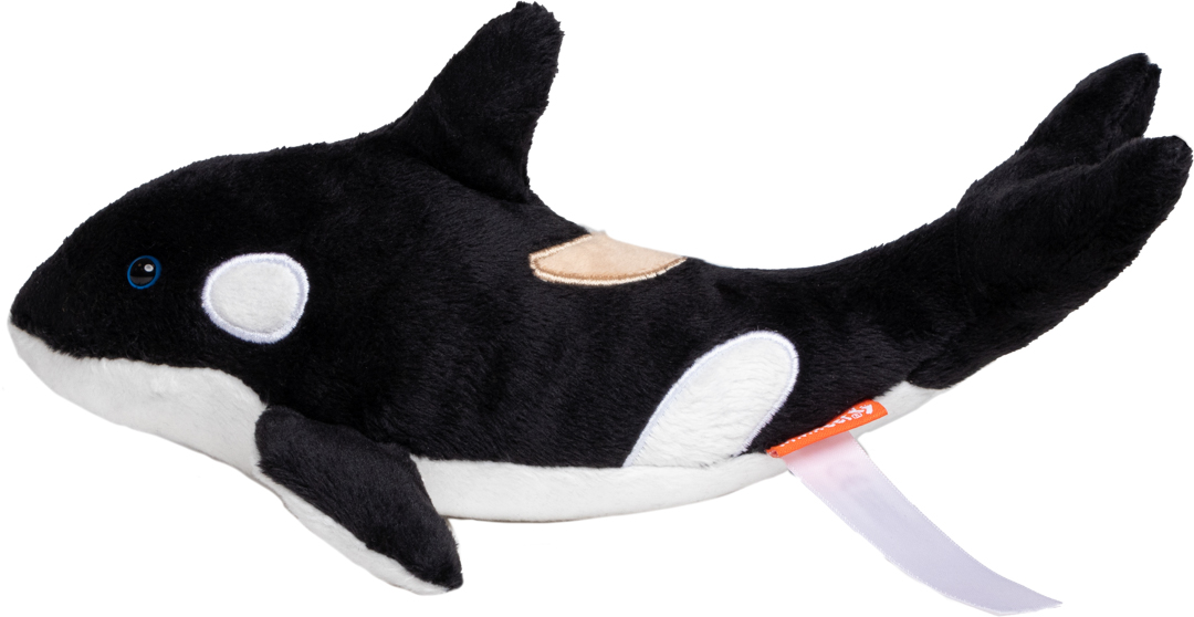 Orca Phil