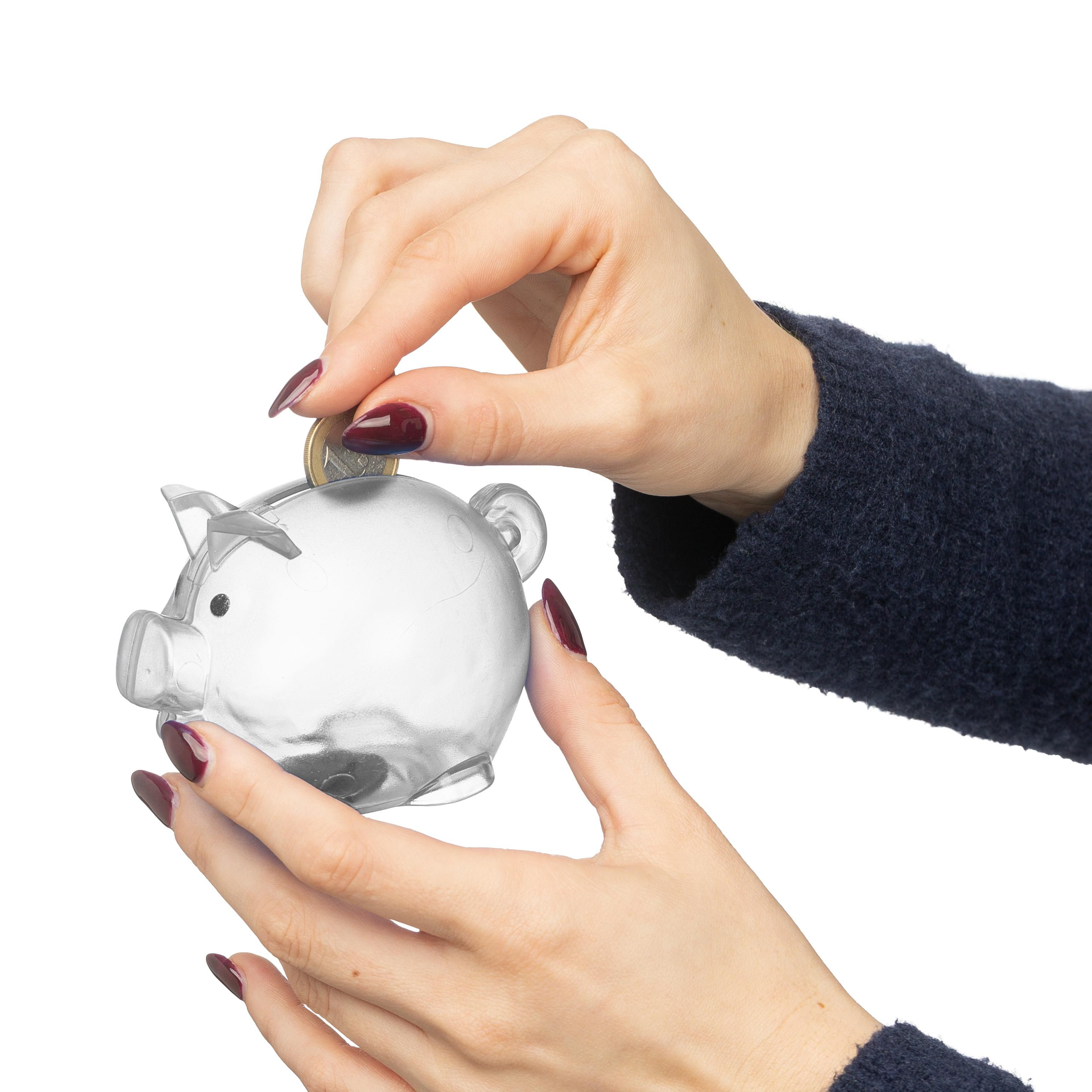 Sparschwein Vivi | Recycelt
