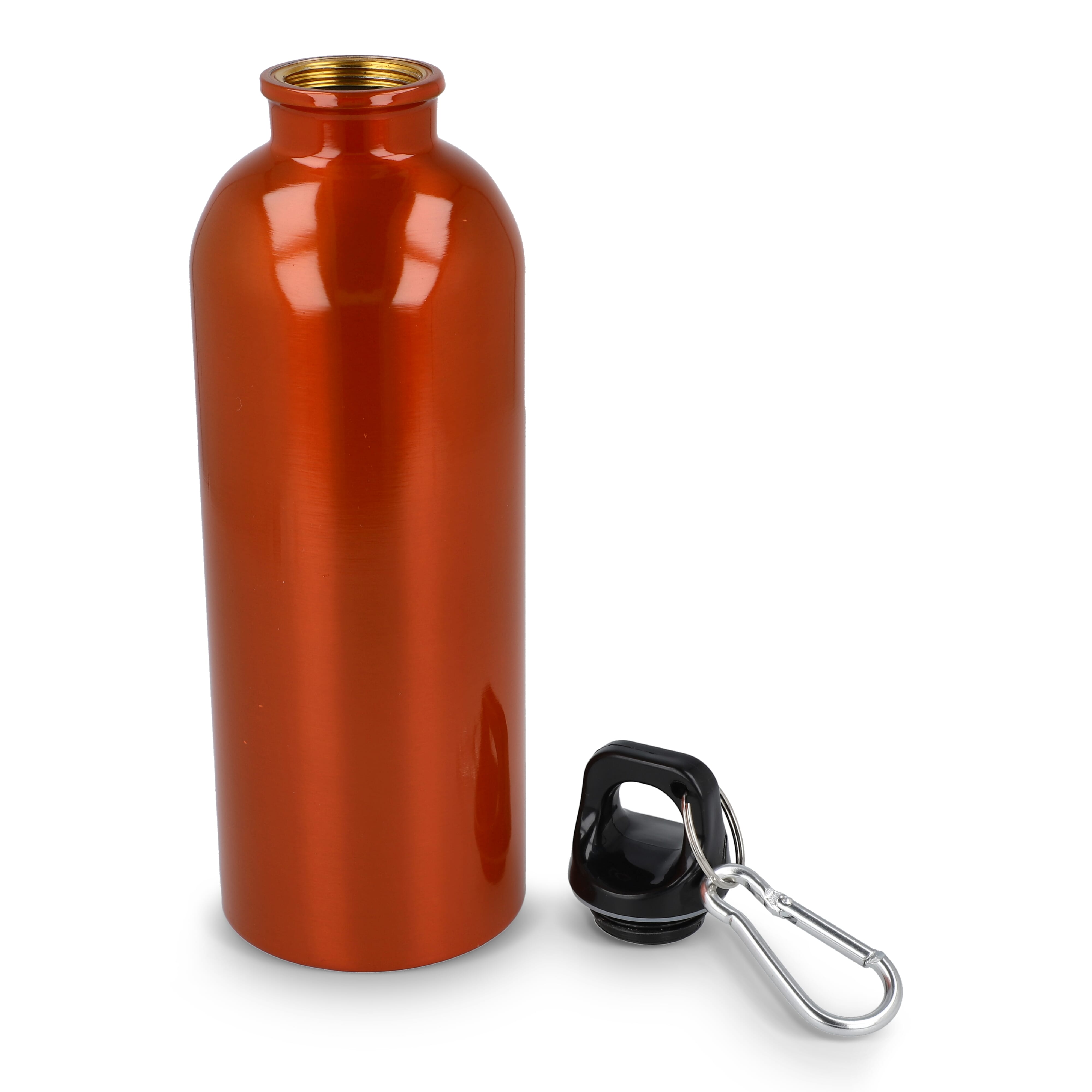 R-Edelstahl einwandige Flasche mit Karabiner 500 ml