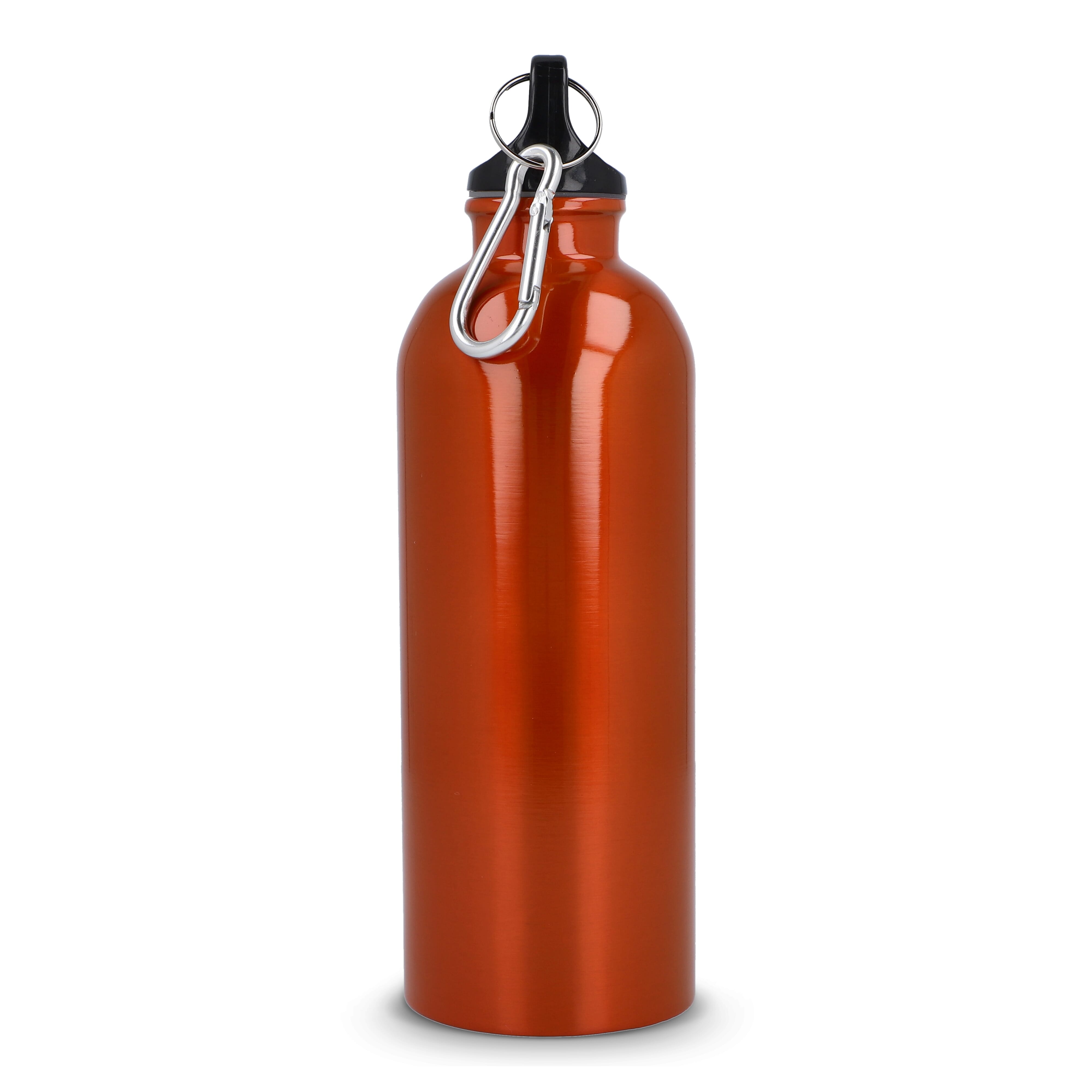 R-Edelstahl einwandige Flasche mit Karabiner 500 ml