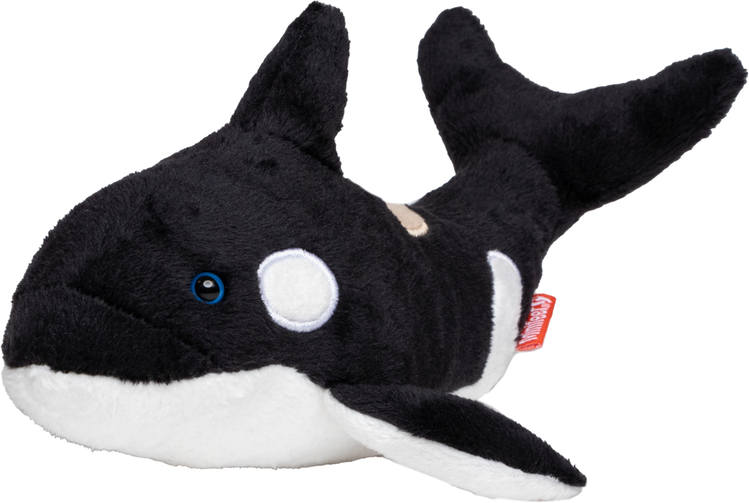 Orca Phil