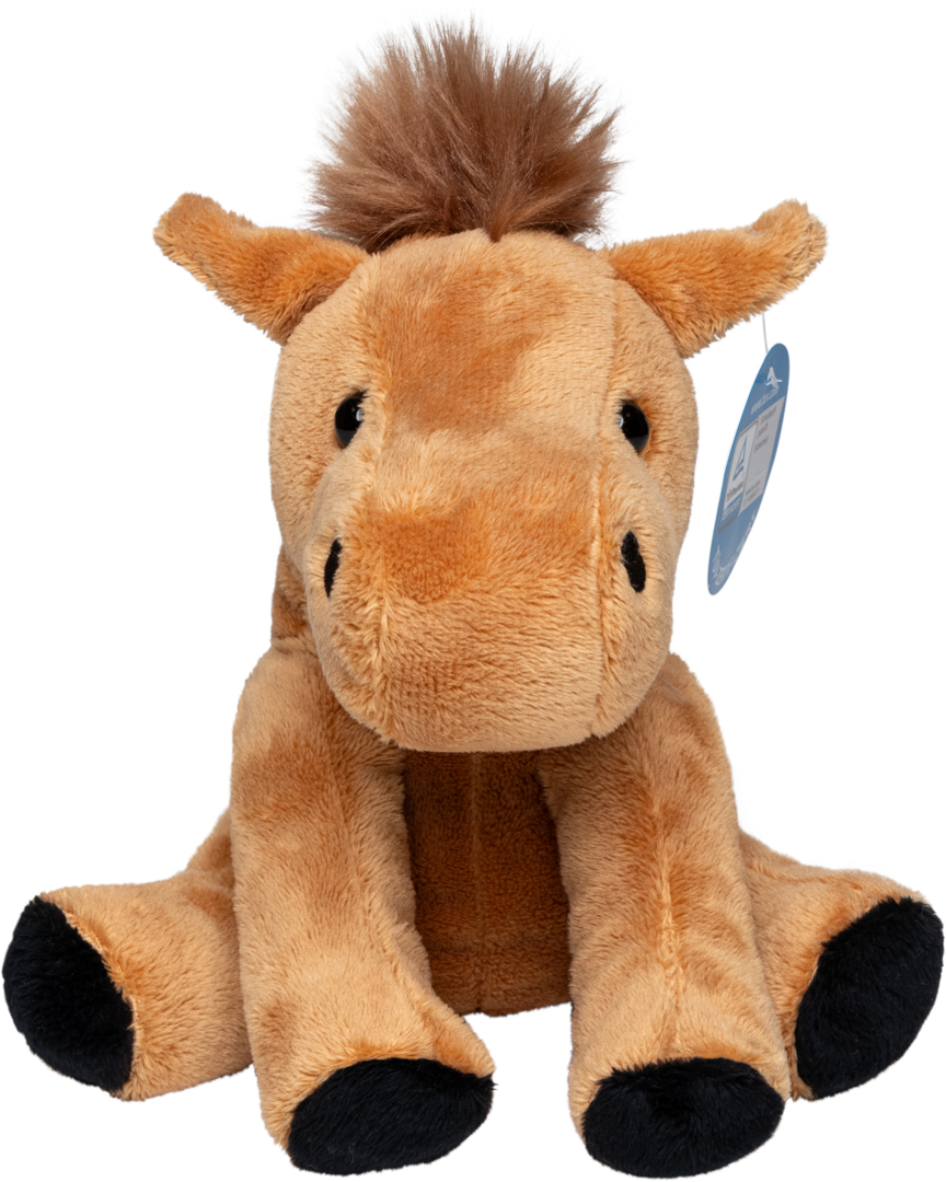 Pferd Claudia