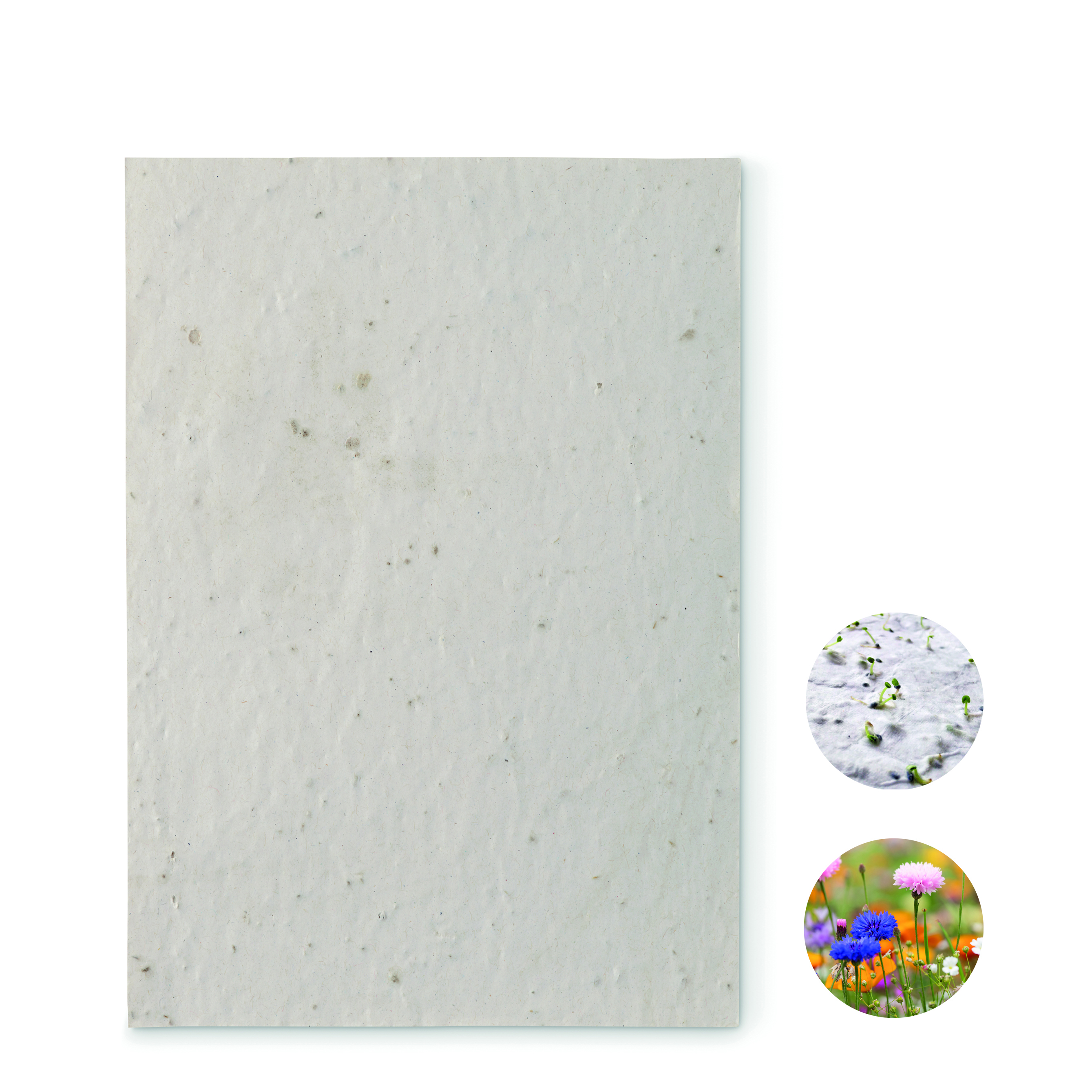 DIN A5 Wildblumen-Samenpapier ASIDE