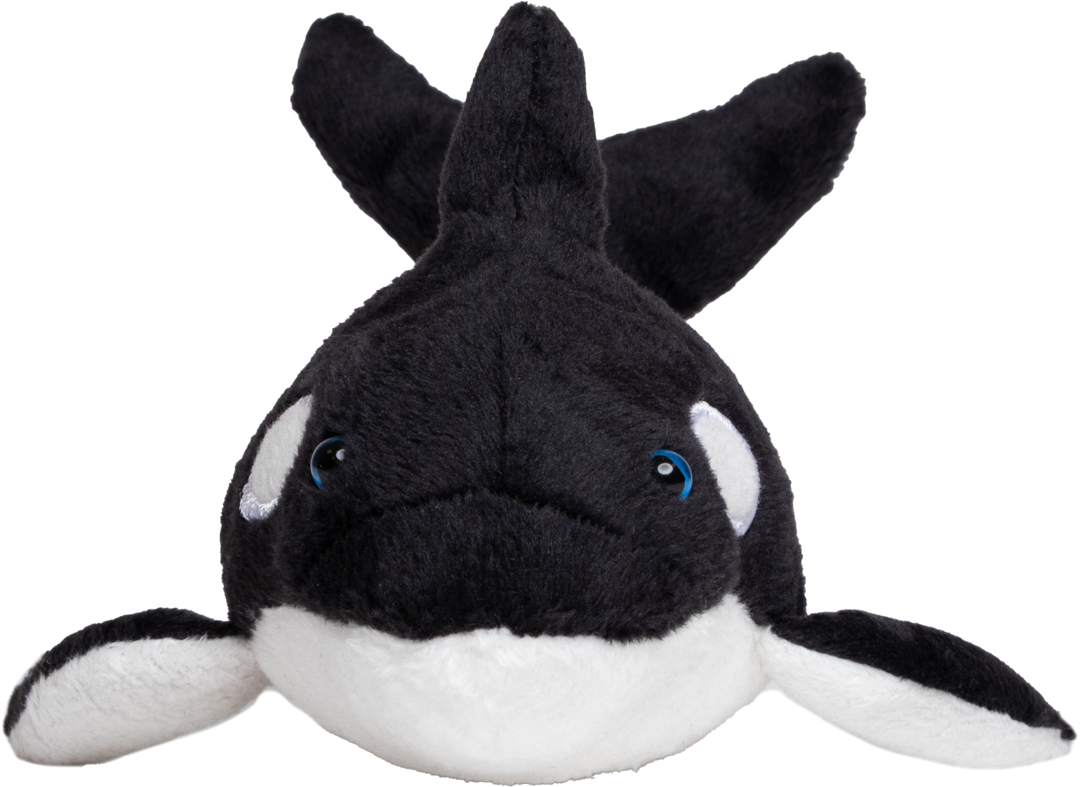 Orca Phil