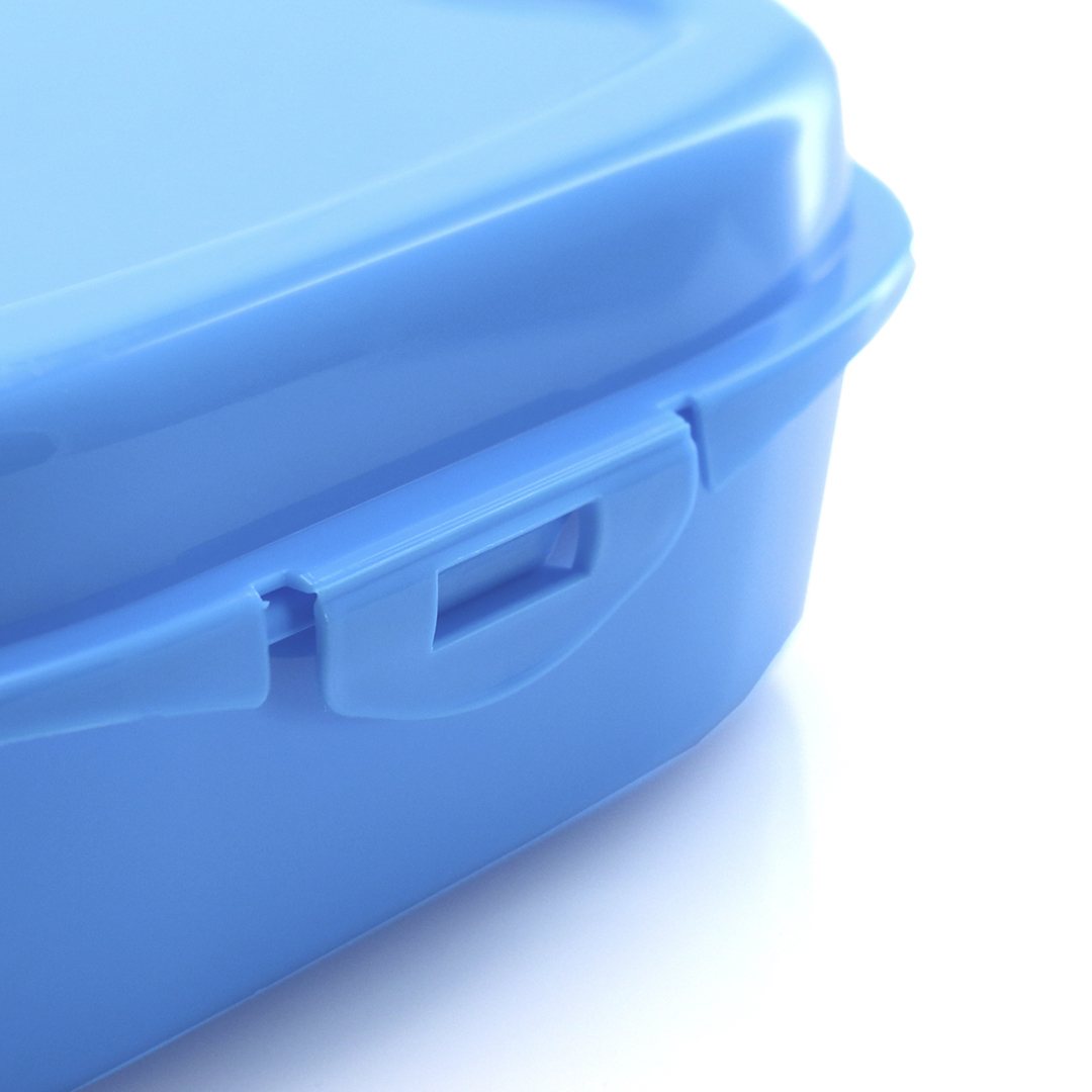 Sandwich Lunch Box Noix