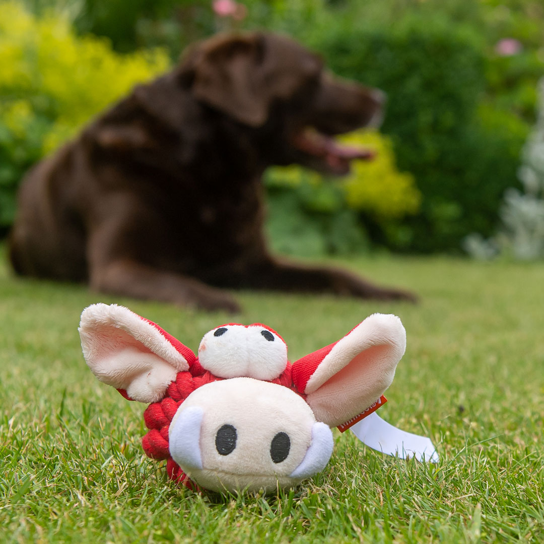 Hundespielzeug Knotentier Wildschwein