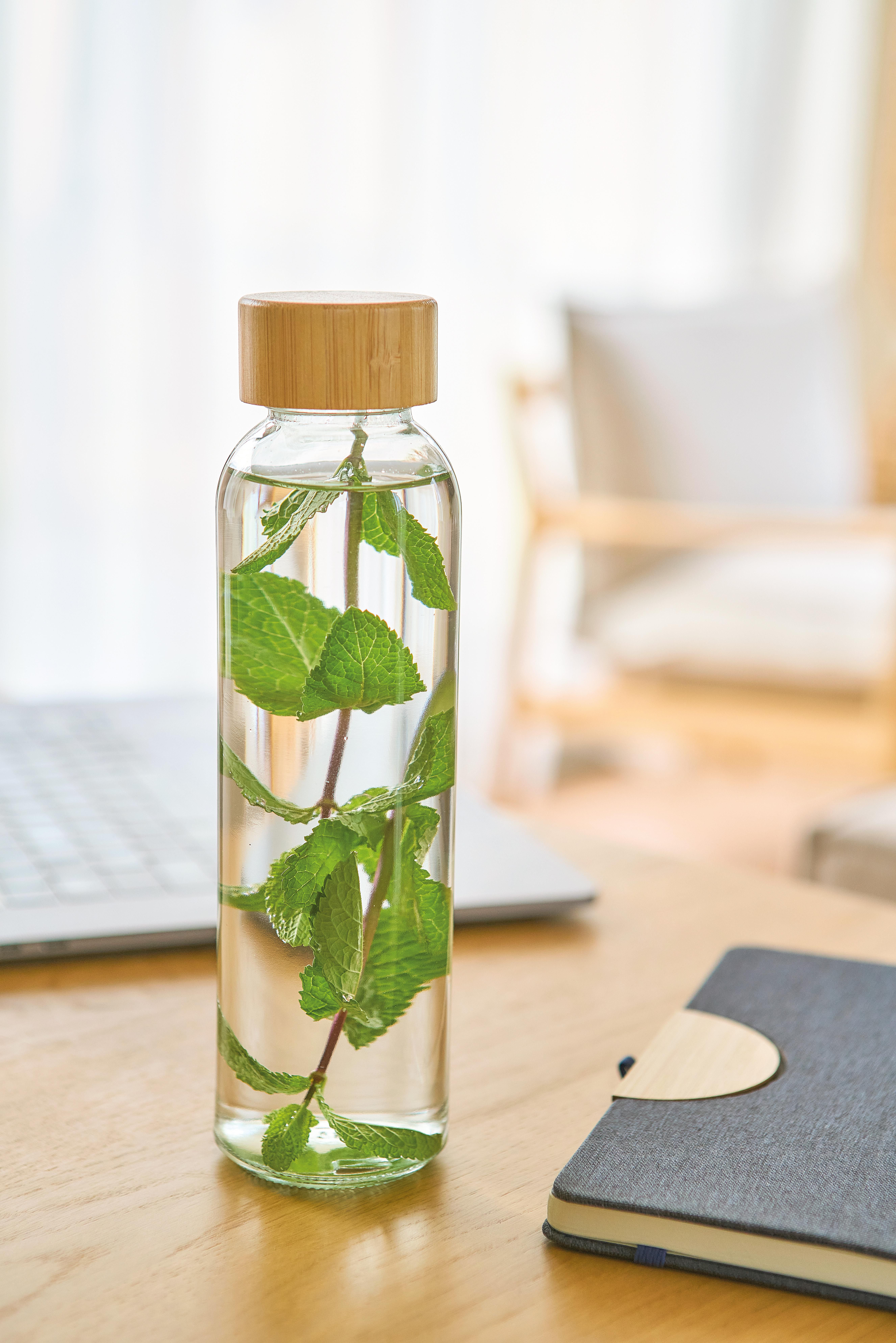 Glas-Trinkflasche (500 ml) Levi