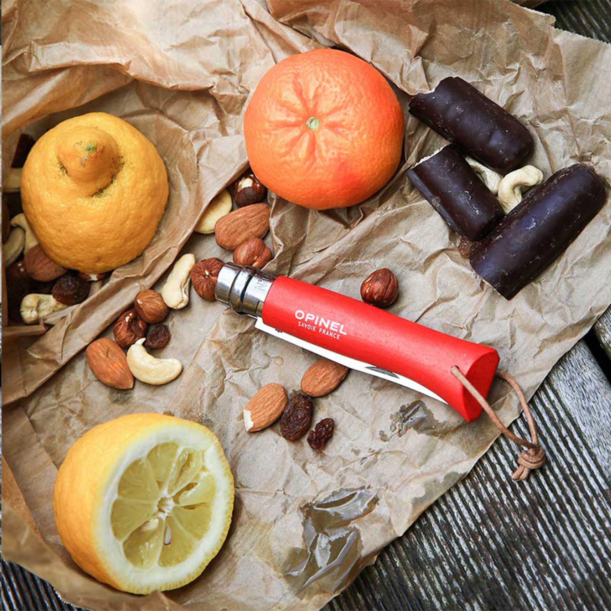 Opinel Colorama No 08 Taschenmesser