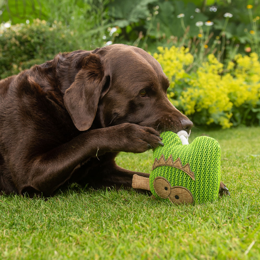 Hundespielzeug Gespenst