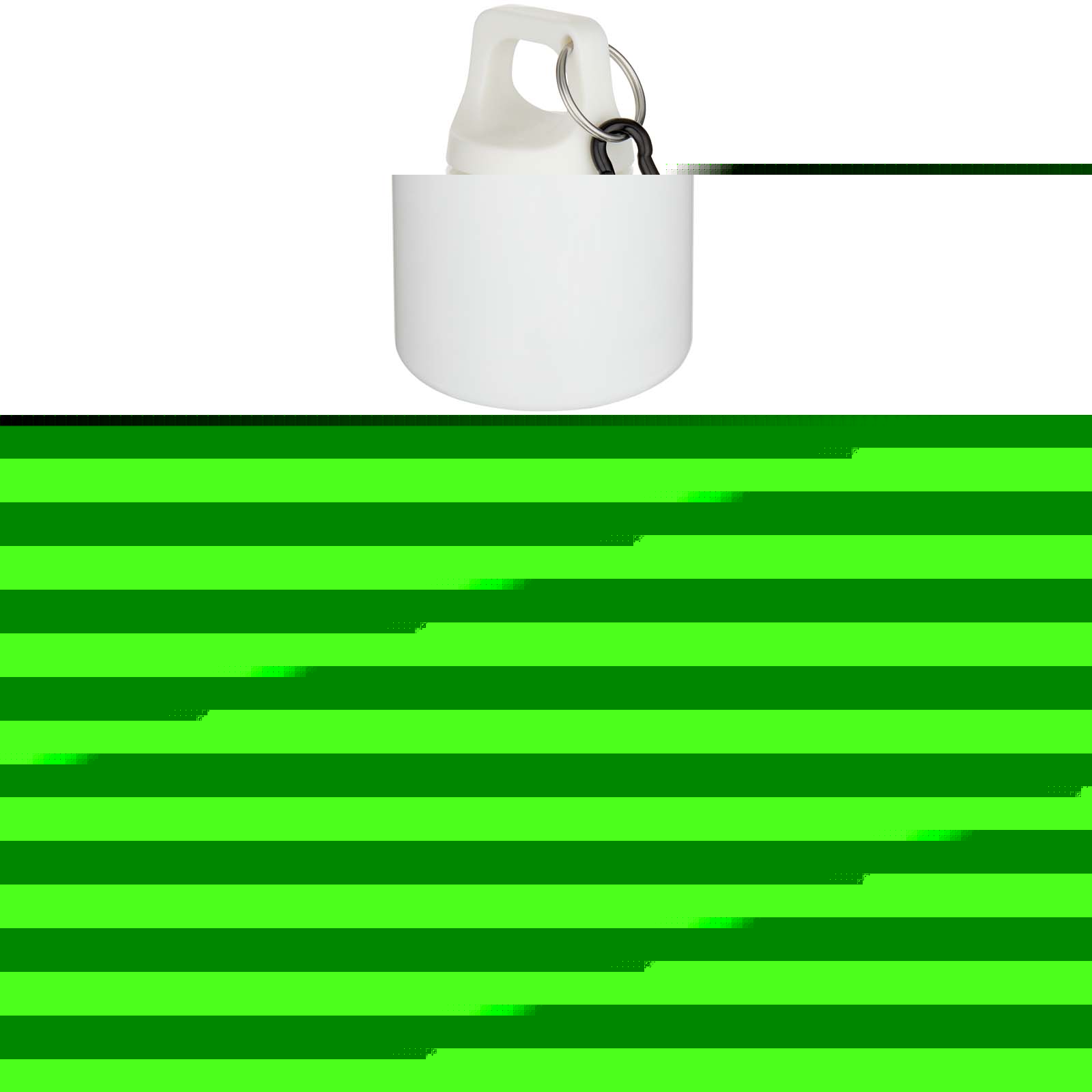 Oregon 750 ml einfarbige RS-zertifizierte Wasserflasche aus recyceltem Kunststoff mit Karabinerhaken